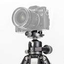 BENRO TTOR34CGX35 ベンロ トータス カーボン三脚 自由雲台 耐荷重18kg 最大脚径32.4mm ローアングル撮影 4段 耐久性 軽量 コンパクト 国内正規品