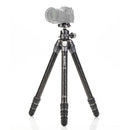 BENRO TTOR34CGX35 ベンロ トータス カーボン三脚 自由雲台 耐荷重18kg 最大脚径32.4mm ローアングル撮影 4段 耐久性 軽量 コンパクト 国内正規品
