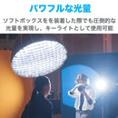 NANLITE FC-500B 撮影用ライト LEDスタジオライト バイカラー 520W 2700-6500K アプリ操作 ボーエンズマウント ケース付き 国内正規品