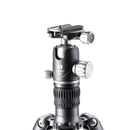 BENRO FRHN24CVX25 ベンロ ライノ カーボン三脚 ボール雲台 耐荷重18kg 最大脚径28.6mm ローアングル撮影 2型 4段 一脚 コンパクト アルカスイス互換 国内正規品