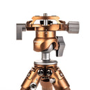 BENRO TPKWE テーブルポッド三脚 ウッドエディション 耐荷重3kg 最大脚17.5mm ボール雲台 アルカスイス互換 国内正規品