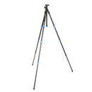 BENRO TSL08CN00 ベンロ スリム カーボンファイバー三脚 耐荷重4kg トラベル三脚 0型4段  国内正規品