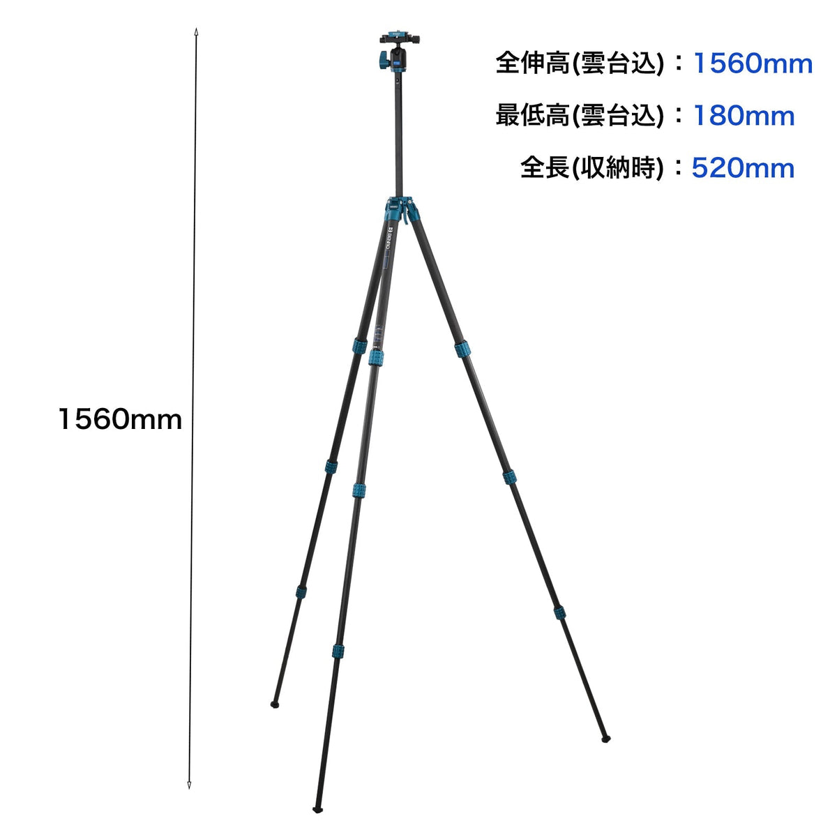 BENRO TSSL08CN00P スーパースリム カーボン三脚 自由雲台 耐荷重4kg