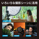 NANLITE FC-120B 撮影用ライト 出力145W 色温度2700-6500K CRI96 TLCI98 バイカラー LED 定常光 アプリ操作 FMマウント ケース付き 国内正規品