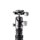 BENRO FRHN14CVX20 ベンロ ライノ カーボン三脚 ボール雲台 耐荷重16kg 最大脚径25.2mm ローアングル撮影 4段 ボタン式ロック 一脚 軽量 コンパクト 国内正規品